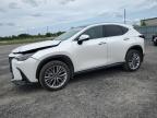 2024 LEXUS NX 350H BASE   for sale at Copart ON - OTTAWA