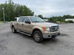 2013 FORD F150 SUPERCREW   for sale at Copart MA - NORTH BOSTON