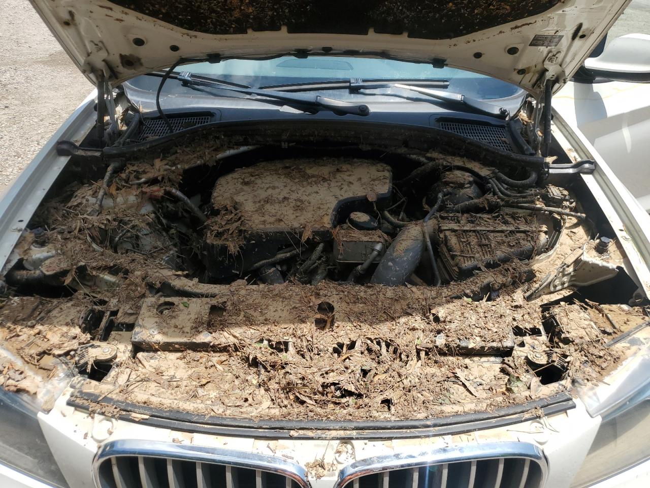 2013 BMW X3 xDrive28I VIN: 5UXWX9C59D0A23608 Lot: 64272385