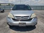 2011 HONDA CR-V EXL   for sale at Copart ON - OTTAWA