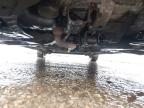 2011 HYUNDAI I10 ACTIVE for sale at Copart SANDY