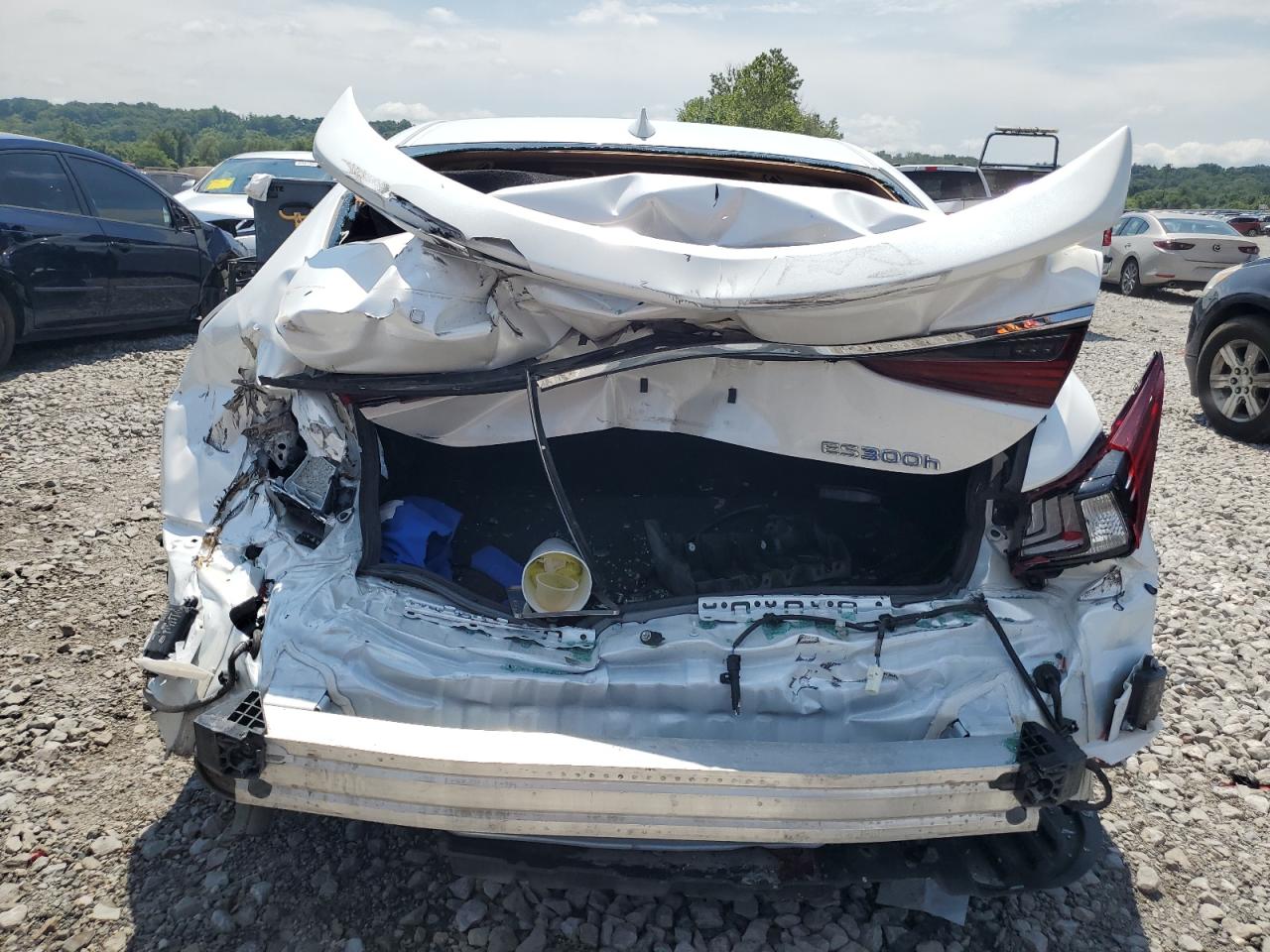 2022 Lexus Es 300H Base VIN: 58ADA1C15NU023657 Lot: 63654775