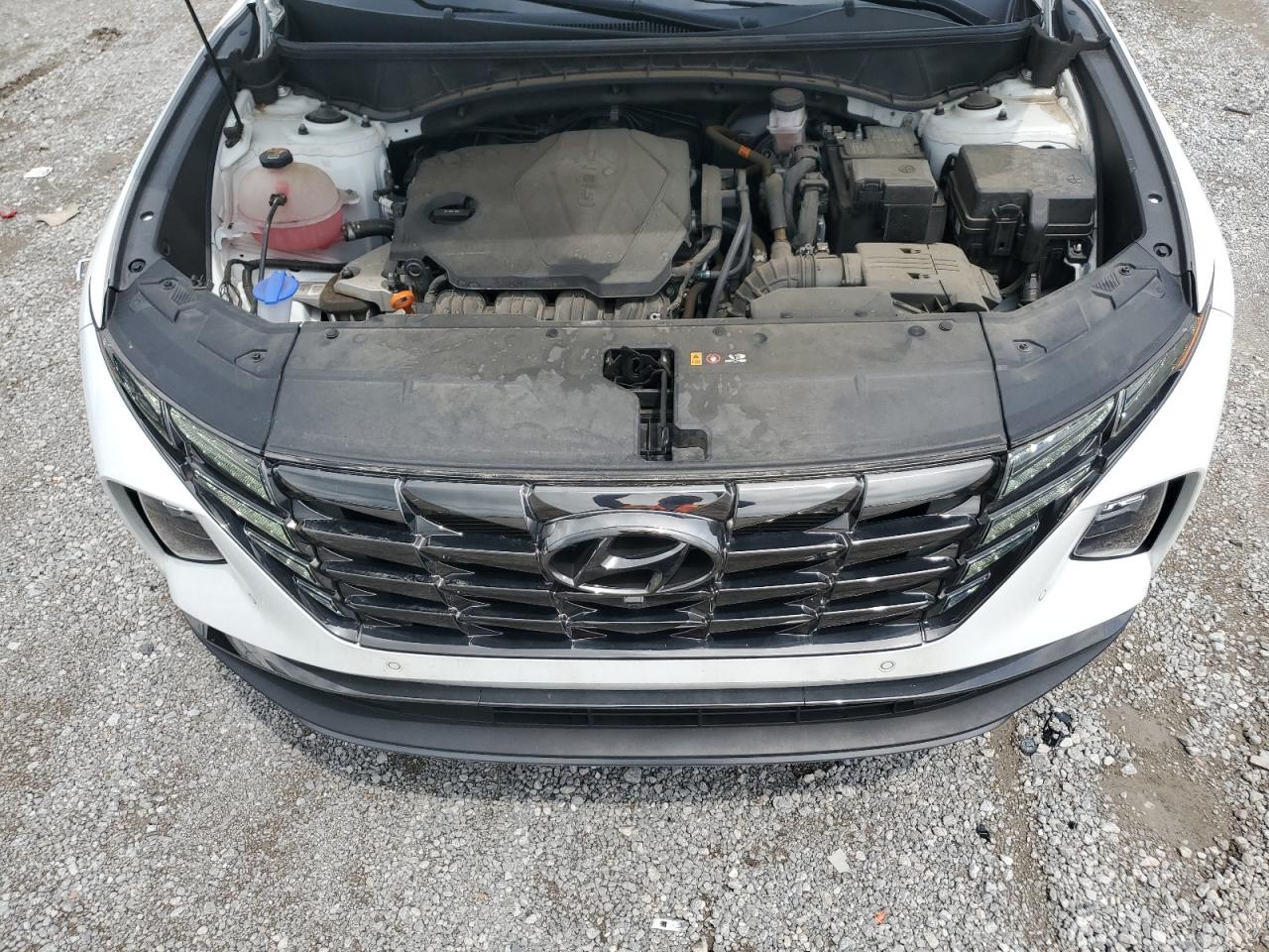 2022 Hyundai Tucson Limited VIN: 5NMJECAE3NH044356 Lot: 64102445