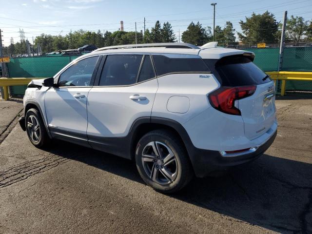  GMC TERRAIN 2020 Biały