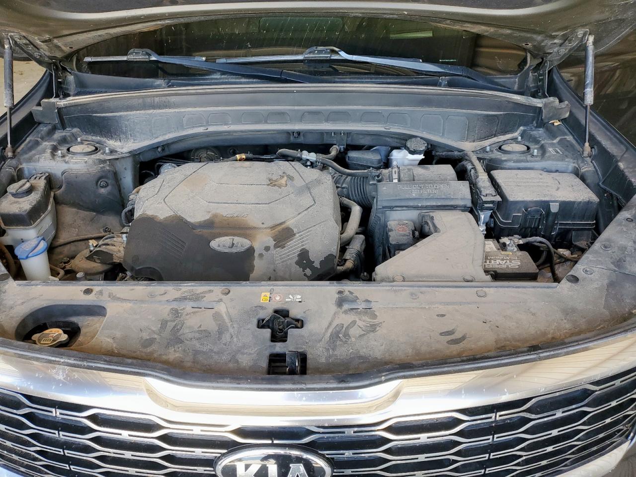 2020 Kia Telluride Sx VIN: 5XYP5DHC4LG065132 Lot: 63984315