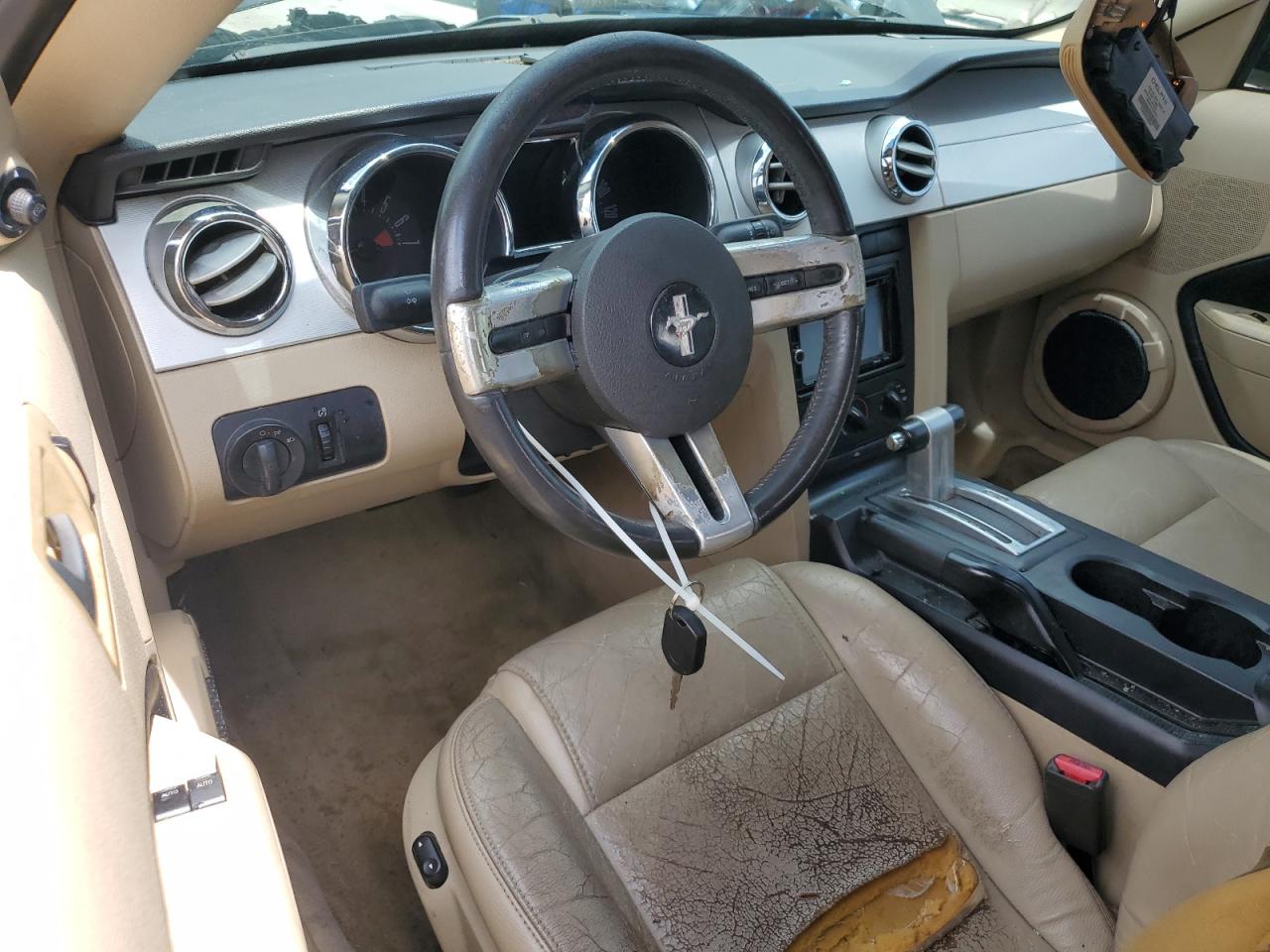 2006 Ford Mustang VIN: 1ZVHT80N565208825 Lot: 64799405