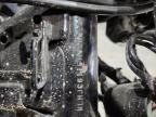 2017 HONDA GROM 125   for sale at Copart OK - TULSA