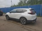 2020 HONDA CR-V LX   for sale at Copart NB - MONCTON