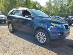 2012 KIA SORENTO BASE   for sale at Copart ON - COOKSTOWN