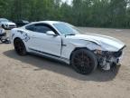 2017 FORD MUSTANG    à vendre chez Copart ON - COOKSTOWN