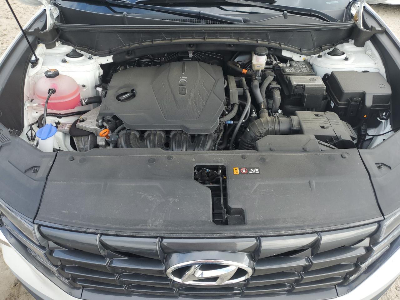 2024 Hyundai Tucson Sel VIN: 5NMJFCDE1RH334982 Lot: 65153795