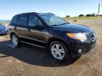 2011 HYUNDAI SANTA FE GLS   à vendre chez Copart AB - CALGARY