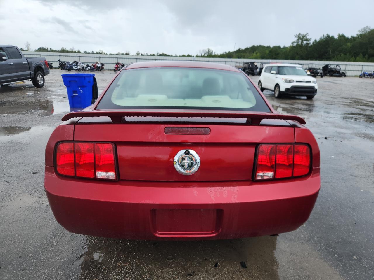 2006 Ford Mustang VIN: 1ZVFT80N565167023 Lot: 62669395