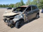 2017 TOYOTA RAV4 LE   à vendre chez Copart ON - COOKSTOWN
