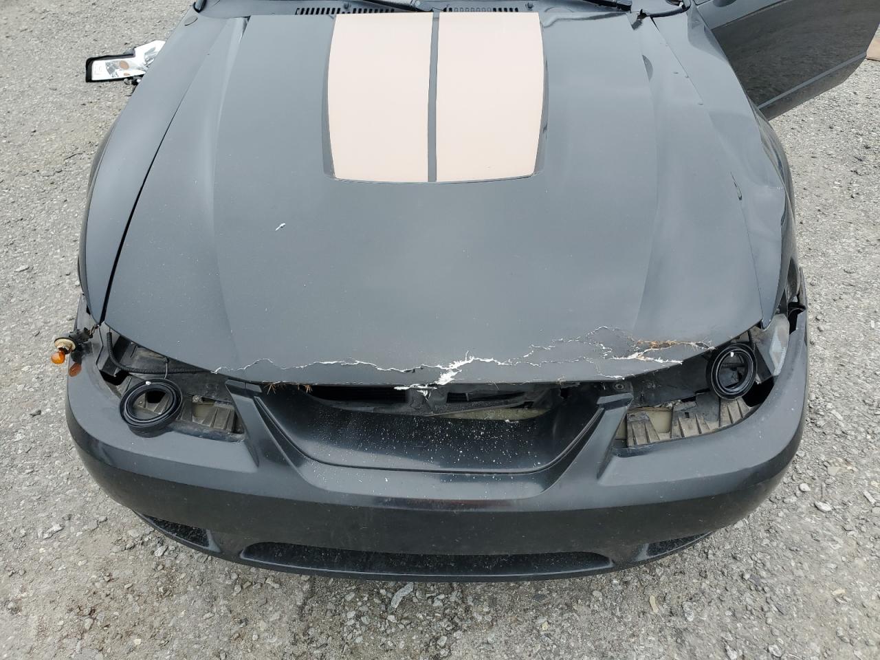 1999 Ford Mustang Cobra Svt VIN: 1FAFP46V9XF180611 Lot: 64097245