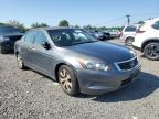 2010 HONDA ACCORD EX   for sale at Copart NJ - SOMERVILLE