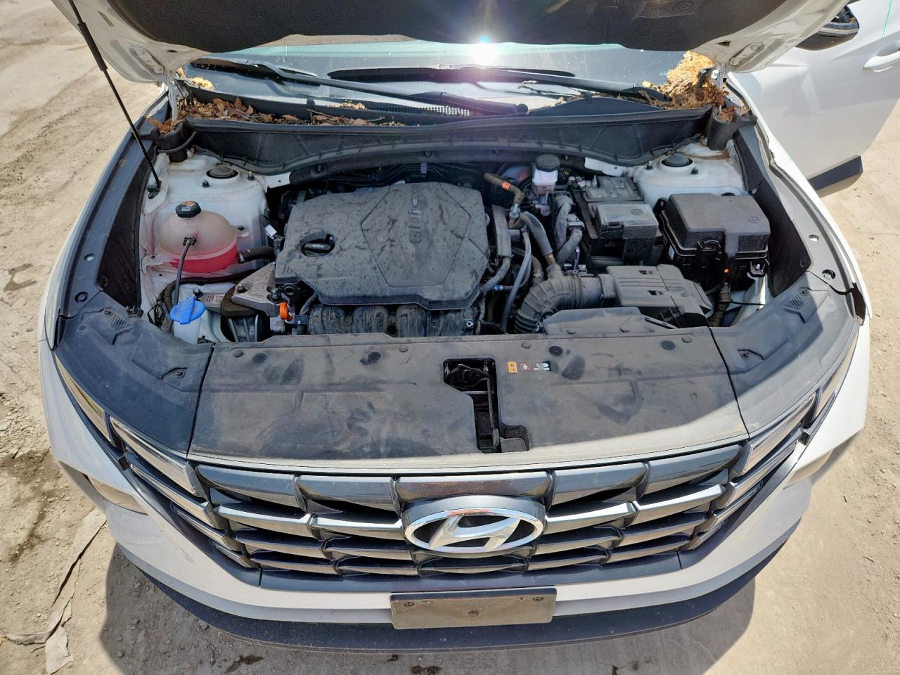 2023 Hyundai Tucson Sel VIN: 5NMJBCAE7PH175057 Lot: 65281925