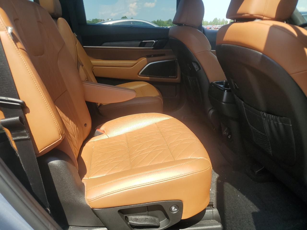 2023 Kia Telluride Sx VIN: 5XYP5DGC1PG357781 Lot: 84543515