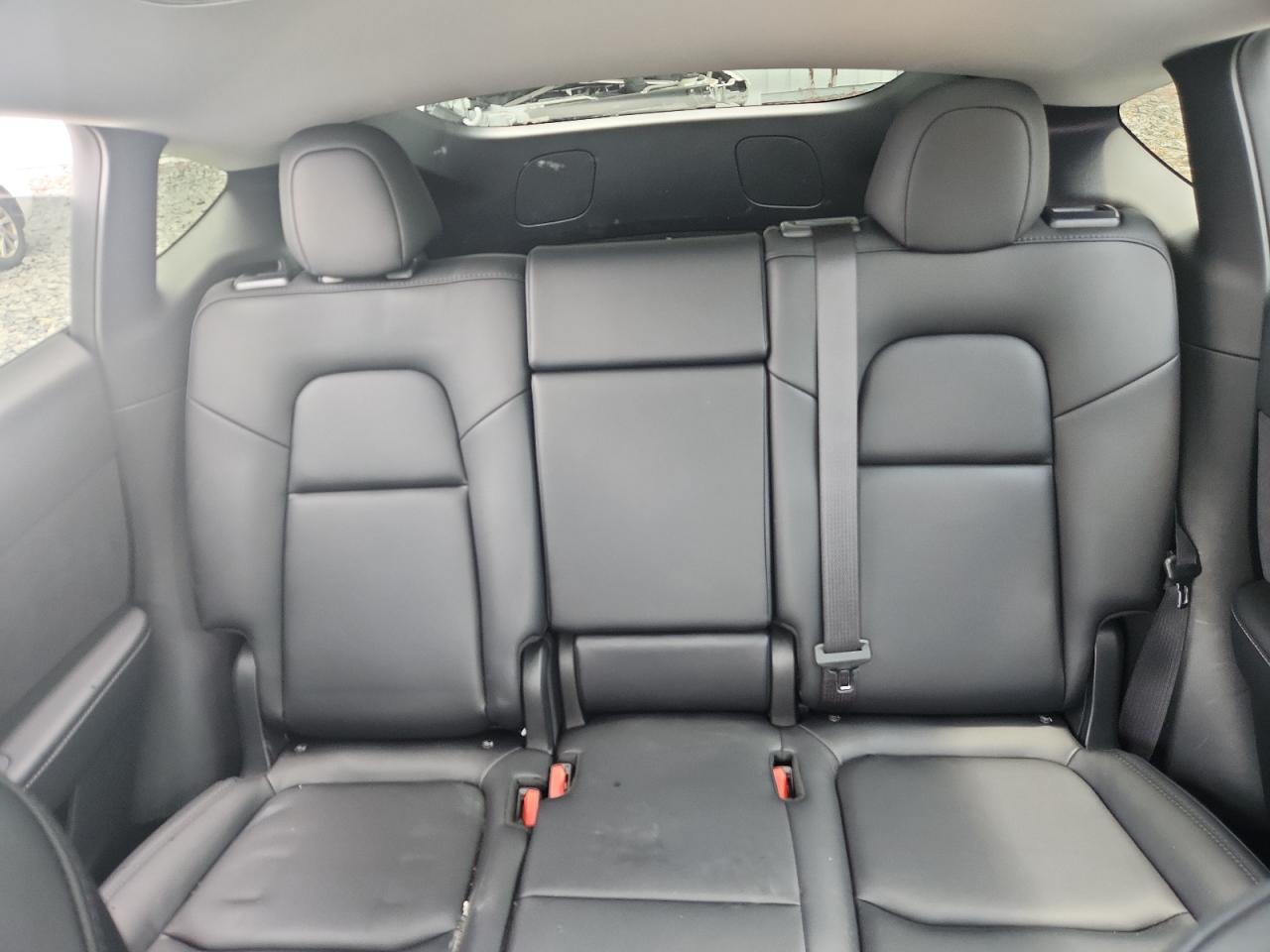 2023 Tesla Model Y VIN: 7SAYGAEE7PF797905 Lot: 65114325