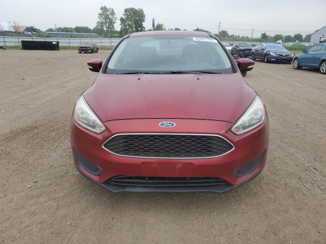  FORD FOCUS 2015 Красный
