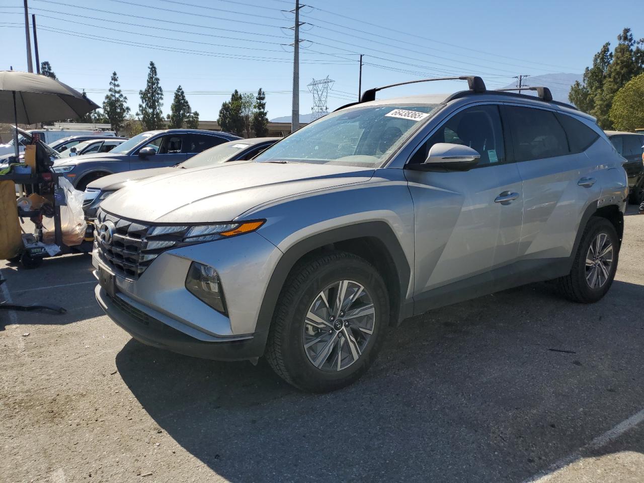 2023 Hyundai Tucson Blue VIN: KM8JBCA13PU090699 Lot: 66438365