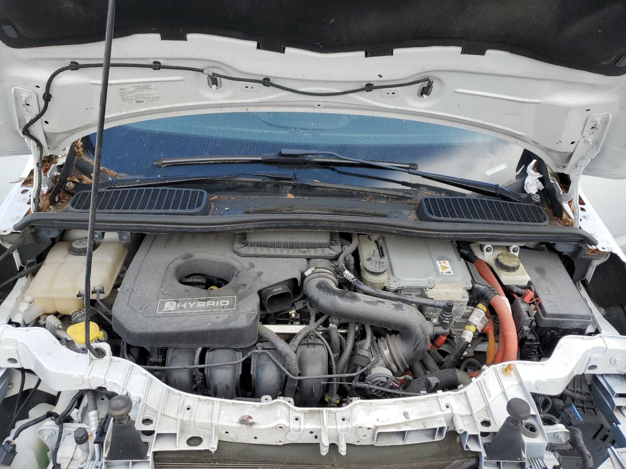 2013 Ford C-Max Sel VIN: 1FADP5BU2DL535755 Lot: 64096035