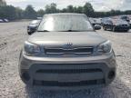 2019 KIA SOUL    for sale at Copart TN - KNOXVILLE