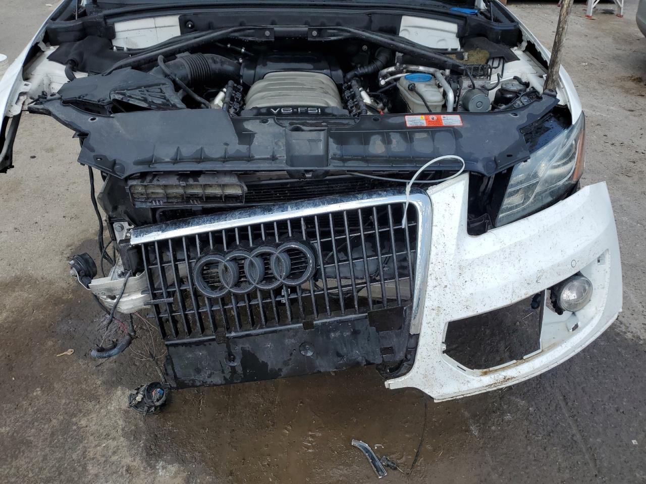 2010 Audi Q5 Premium Plus VIN: WA1LKAFP1AA020538 Lot: 64464815