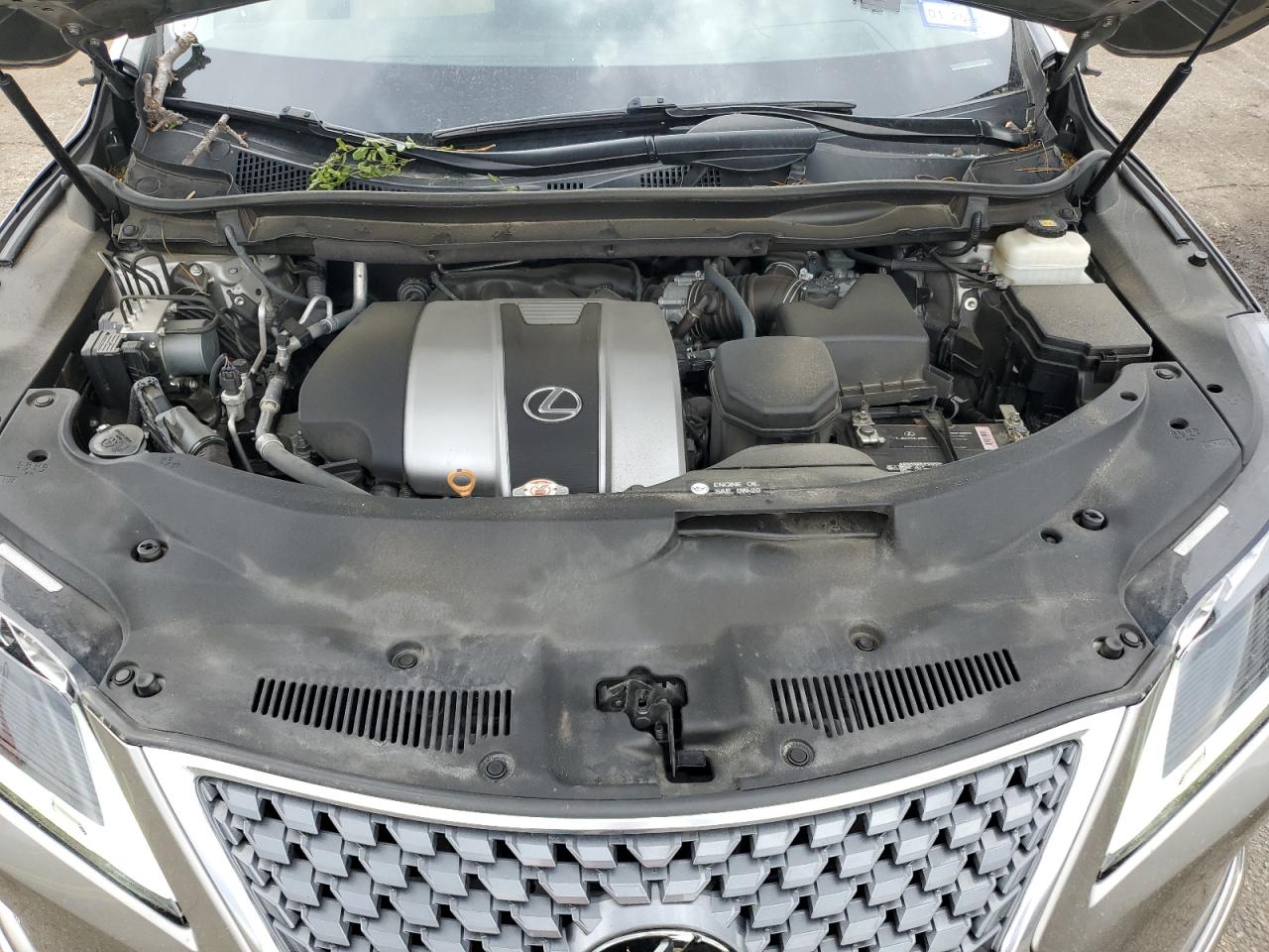 2020 Lexus Rx 350 VIN: 2T2JZMAA8LC166264 Lot: 65162435