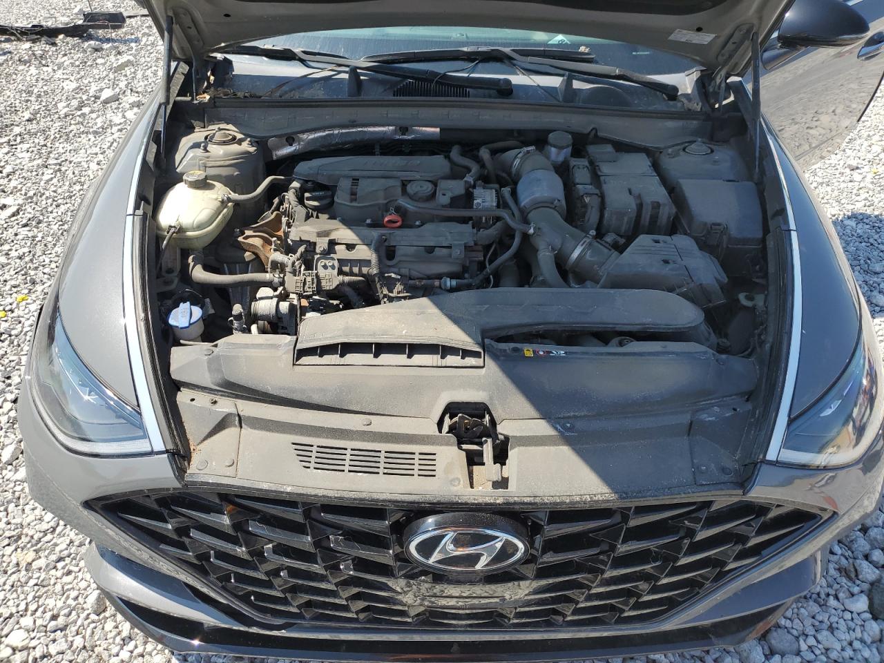 2020 Hyundai Sonata Sel Plus VIN: 5NPEJ4J22LH006979 Lot: 63368885