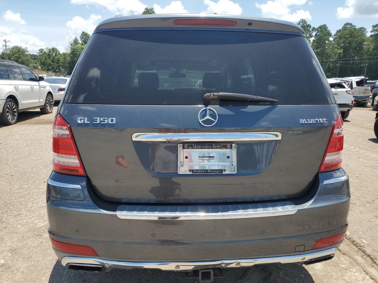 2010 Mercedes-Benz Gl 350 Bluetec VIN: 4JGBF2FE9AA620908 Lot: 64600385