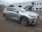 2025 LEXUS NX 450H LUXURY   for sale at Copart QC - MONTREAL