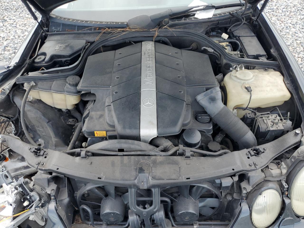 1999 Mercedes-Benz Clk 430 VIN: WDBLJ70G8XF087703 Lot: 63799705