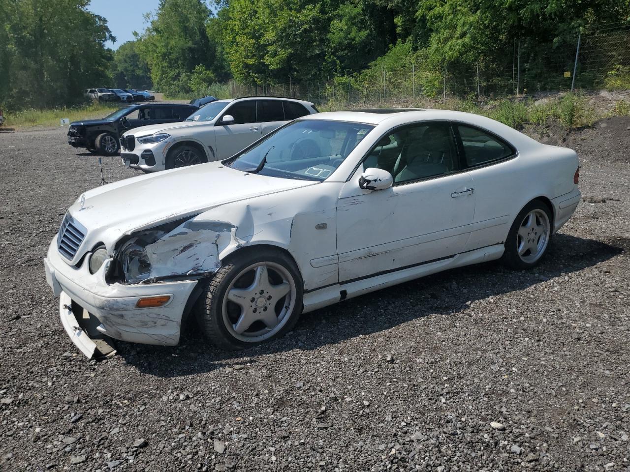 1999 Mercedes-Benz Clk 430 VIN: WDBLJ70GXXF064455 Lot: 66447635