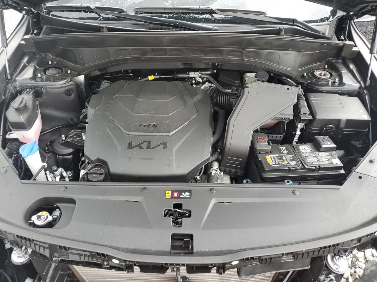 2025 Kia Telluride Sx VIN: 5XYP5DGC3SG658450 Lot: 65404455