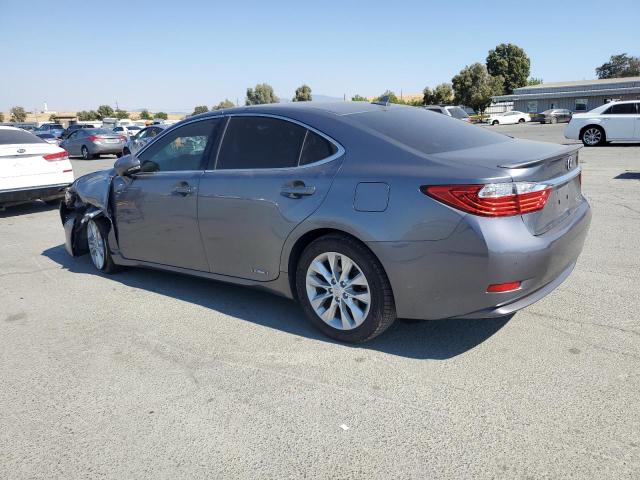  LEXUS ES300 2014 Szary
