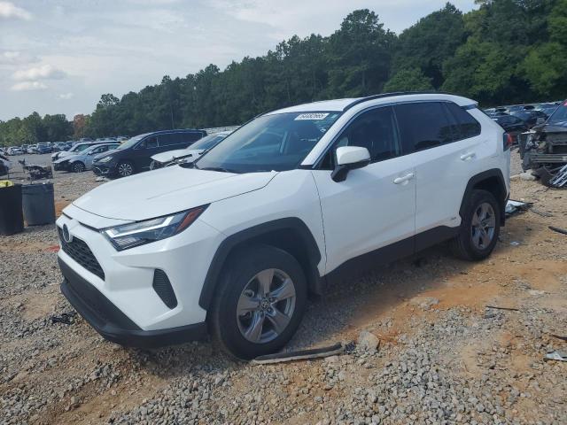  TOYOTA RAV4 2024 White
