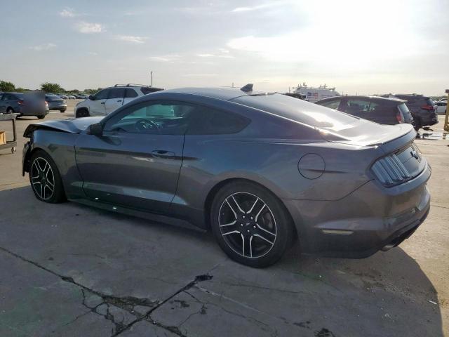  FORD ALL Models 2023 Szary