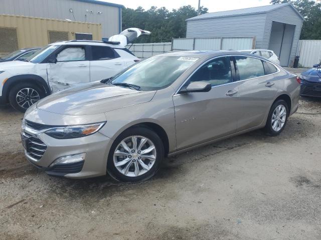  CHEVROLET MALIBU 2024 tan