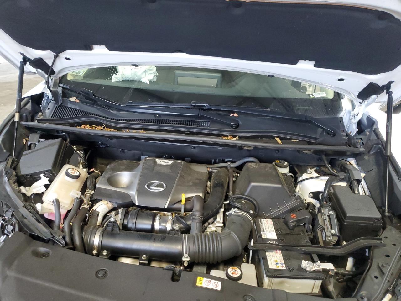 2021 Lexus Nx 300 Base VIN: JTJDARDZ2M5025872 Lot: 62238915