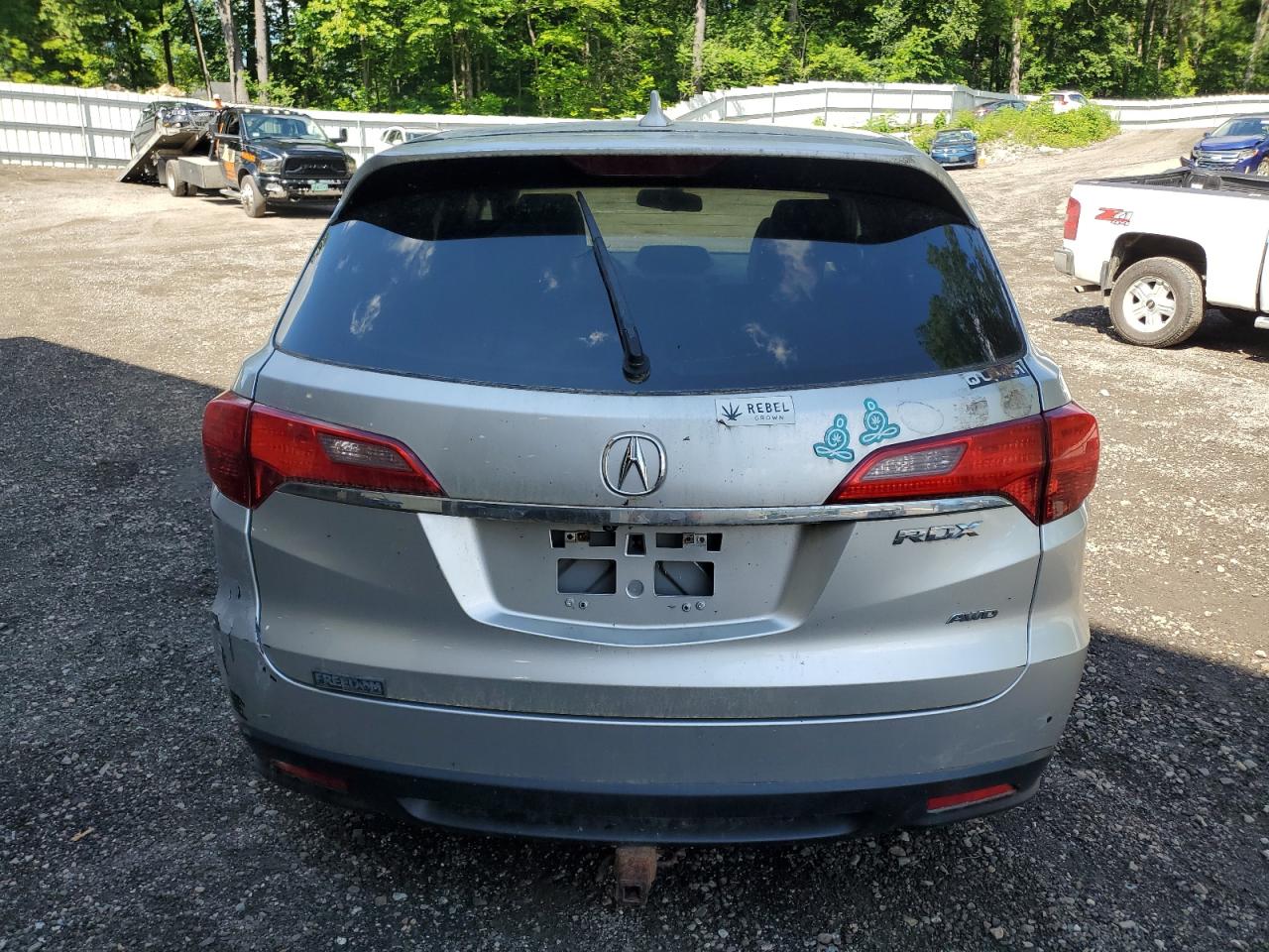 2013 Acura Rdx Technology VIN: 5J8TB4H51DL006071 Lot: 63165105