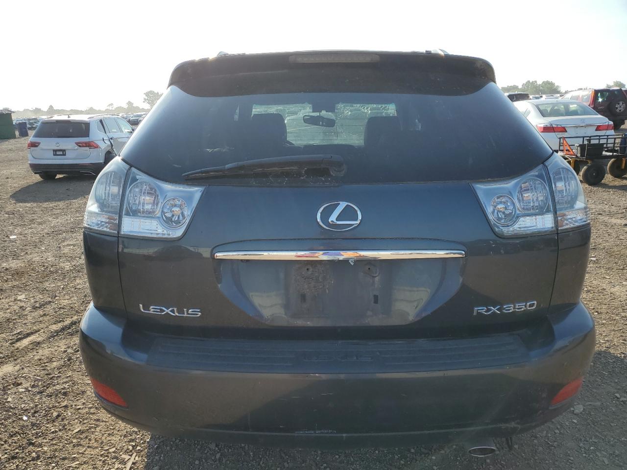 2007 Lexus Rx 350 VIN: 2T2HK31U47C034793 Lot: 60127965