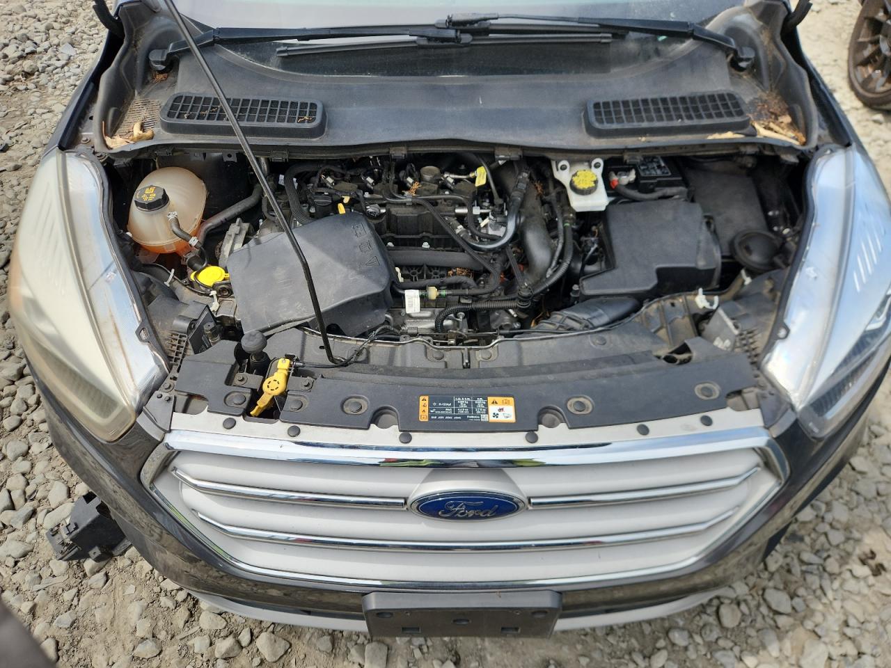 2019 Ford Escape Sel VIN: 1FMCU9HD1KUA66397 Lot: 65536025