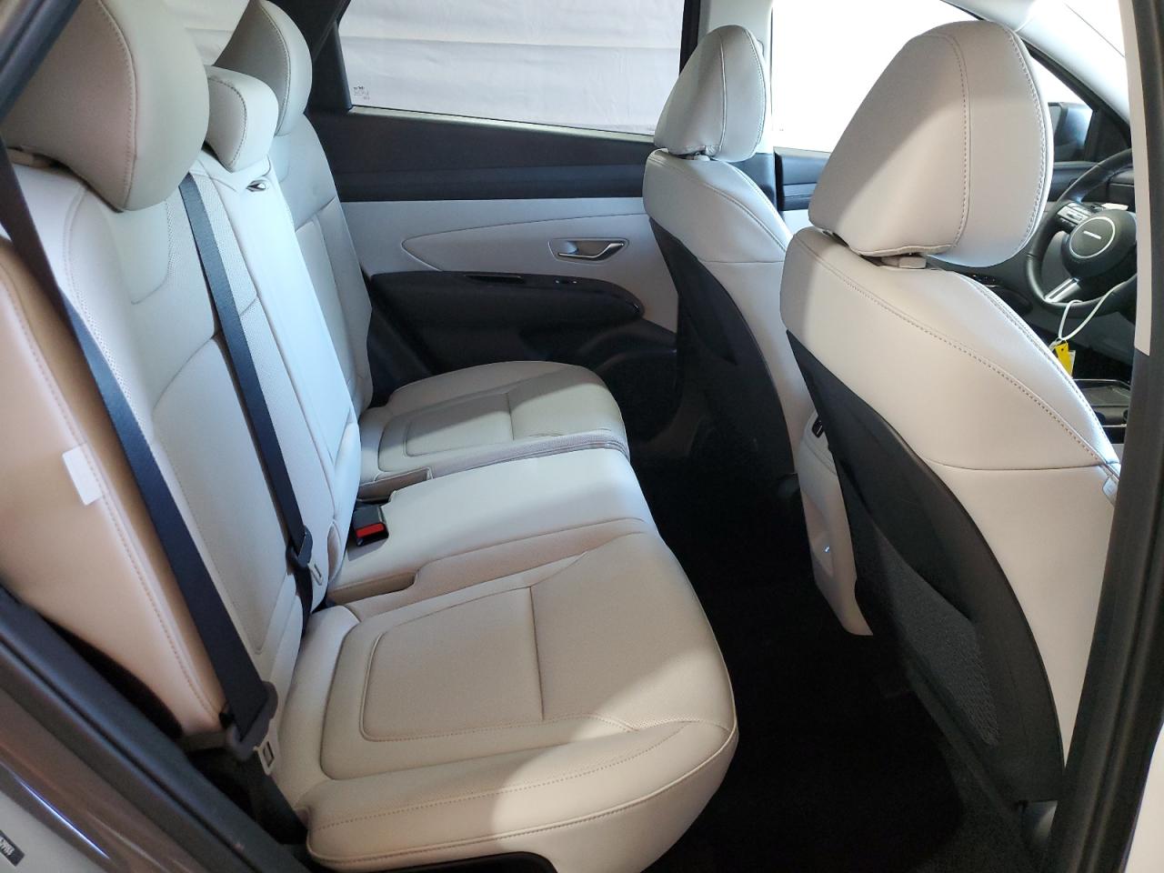 2025 Hyundai Tucson Limited VIN: 5NMJECDEXSH529133 Lot: 64350905
