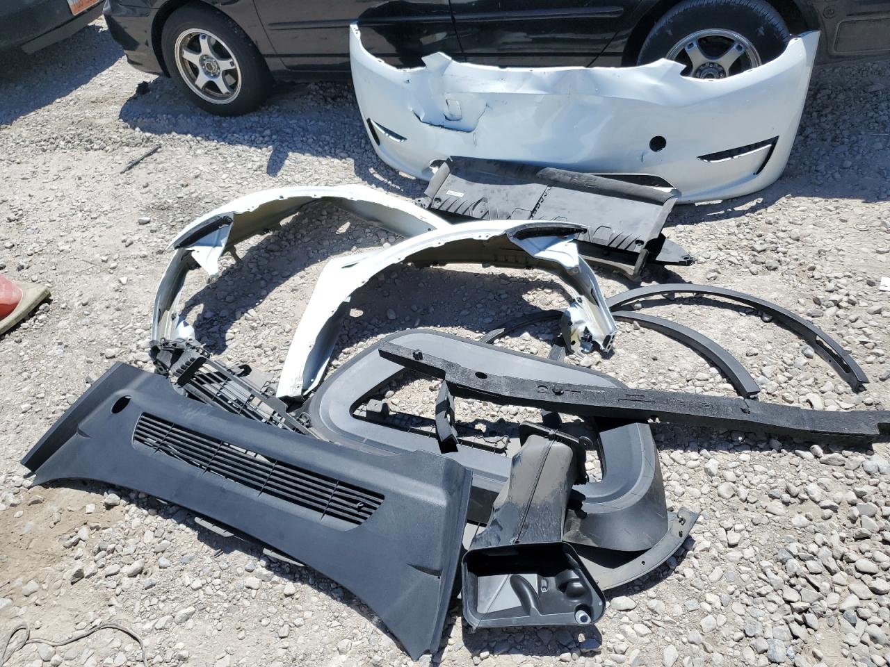 2023 Tesla Model Y VIN: 7SAYGDEE1PF604021 Lot: 66705445