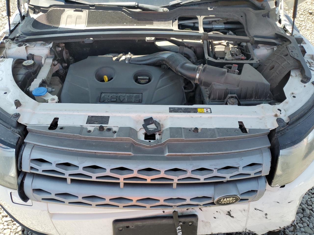 2013 Land Rover Range Rover Evoque Pure Plus VIN: SALVP2BG5DH849922 Lot: 64266175