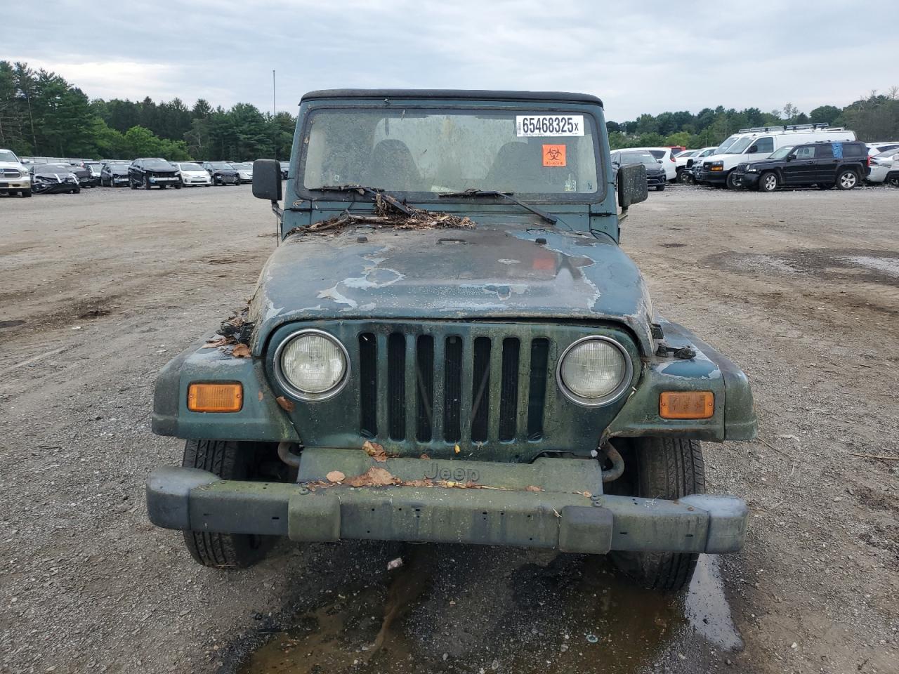 2000 Jeep Wrangler / Tj Se VIN: 1J4FA29P9YP700163 Lot: 65468325