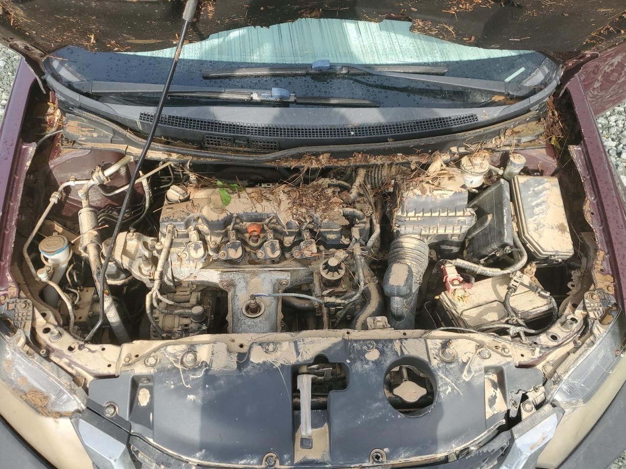 2014 Honda Civic Lx VIN: 2HGFB2E53EH545750 Lot: 64437185