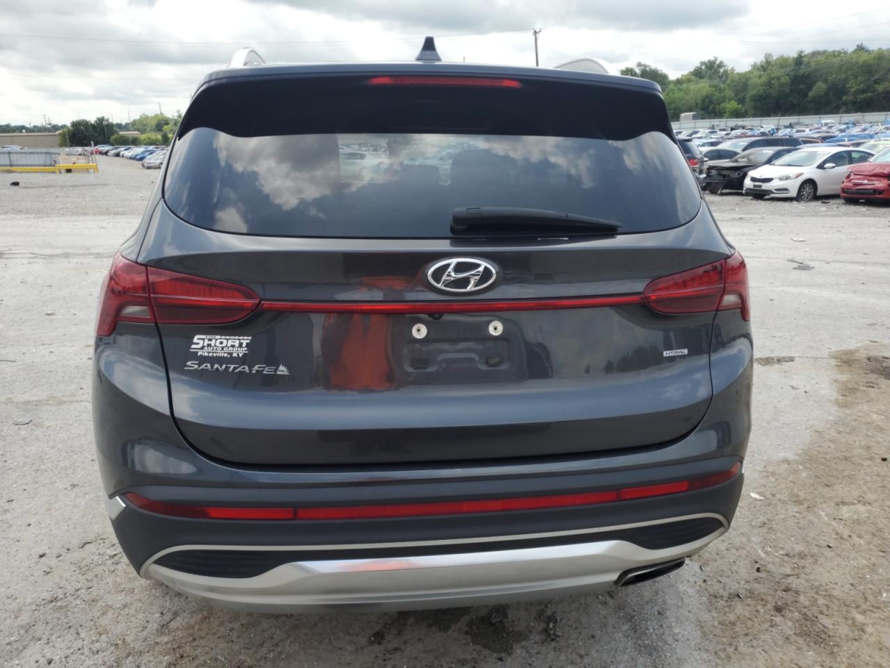 2021 Hyundai Santa Fe Sel VIN: 5NMS2DAJ0MH346721 Lot: 64596705