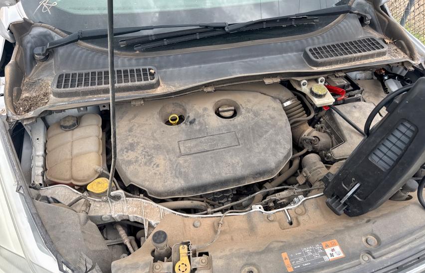 Parquets FORD ESCAPE 2015 Biały